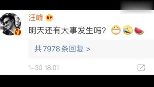 吃瓜娱乐圈语音播放,揭秘吃瓜群众的语音狂欢