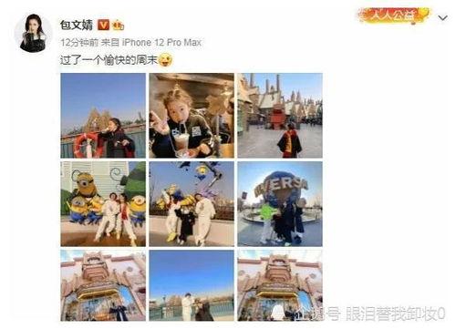 娱乐圈爆料30个瓜,揭秘明星背后的秘密与真相